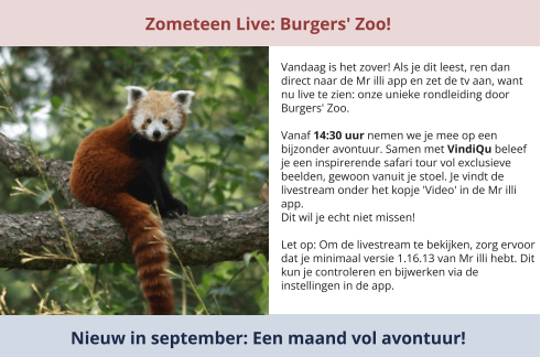 September nieuwsbrief! 🗞️